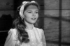 apache shirley